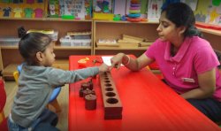 Cambridge Montessori Pre School And Day Care 