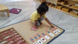 Krsna Montessori School