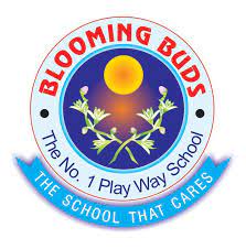 Blooming Buds Play School 