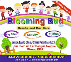 Blooming Buds Play School 