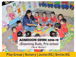 Blooming Buds Preprimary School