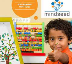 Mindseed Preschool & Daycare