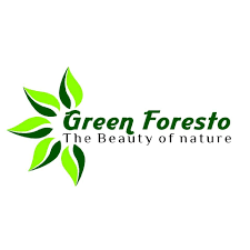Green Foresto Preschool 