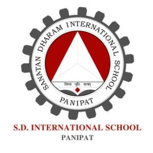 S D International School