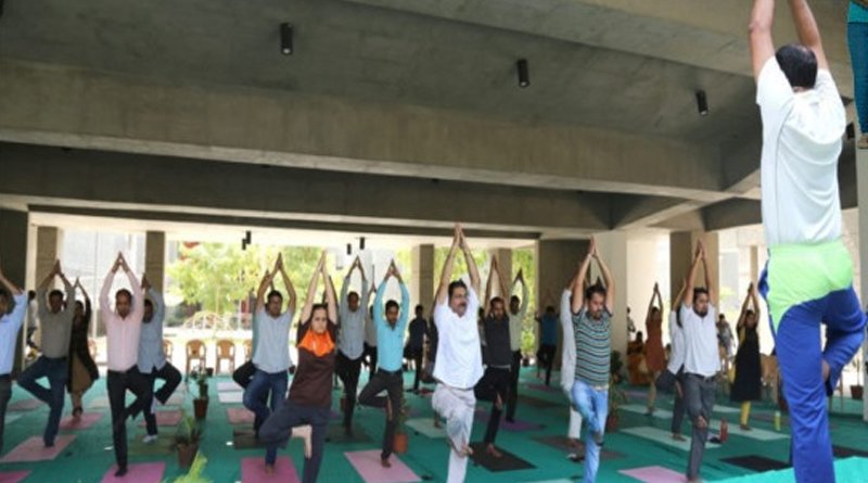 Haryana govt to recruit 1,000 AYUSH assistants to encourage yoga in schools