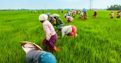 Karnataka School Converts Land Into Farms, Teachers Resort To Menial Jobs To Survive Pandemic