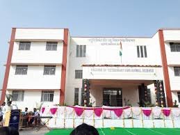 College of Veterinary & Animal Sciences | Best College in Rajasthan